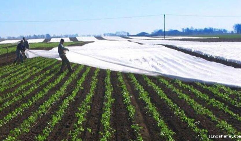 kaiyun官方入口网站无纺布有限公司